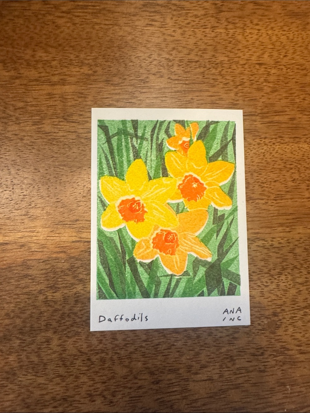 Inciardi - Daffodils - Mini Art Print